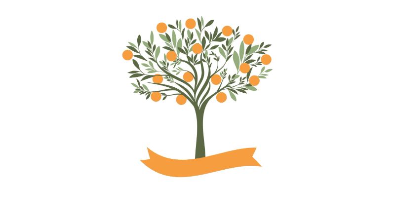 Career Coaching